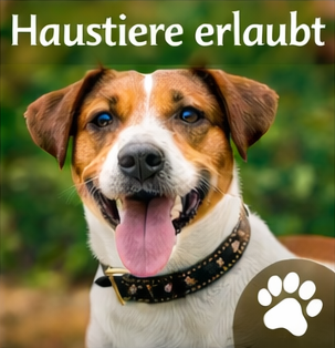 Haustiere